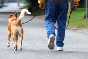 Tenencia Responsable de Mascotas